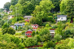 Digtalt deltagande för medlemar i riksträffens föreläsningar 2026