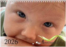 Väggkalender 2026